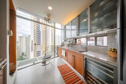 The Edge On Cairnhill (D9), Condominium #517251801
